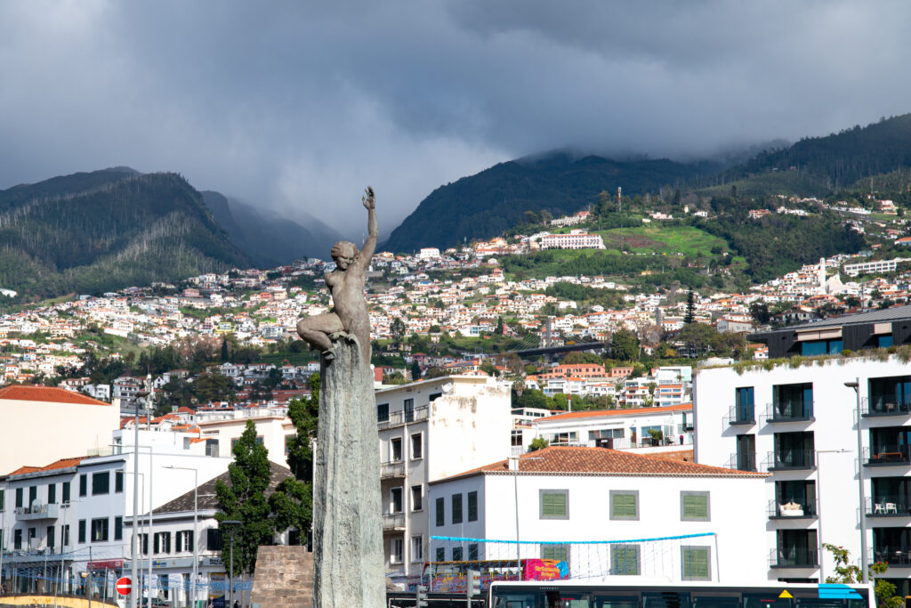 Widok z portu w Funchal